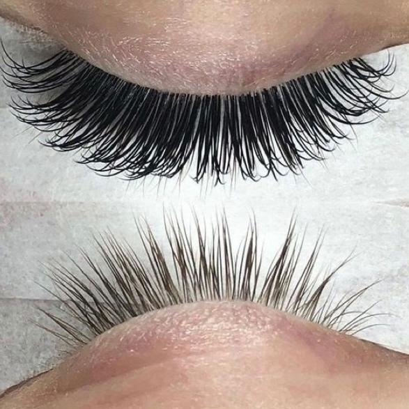 Volume Lash Package 